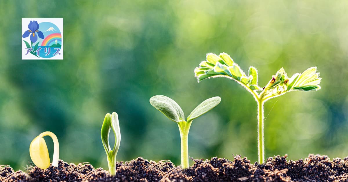 ツインレイとは?特徴と見分け方 — 魂の片割れの本当の意味